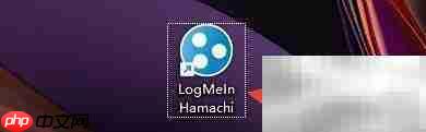 Hamachi消息提醒托盘闪烁