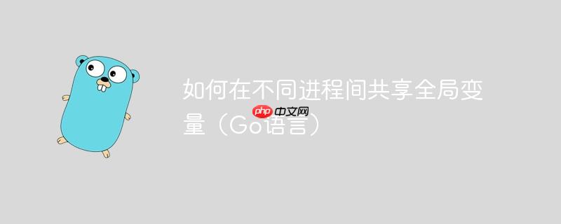 如何在不同进程间共享全局变量（Go语言）