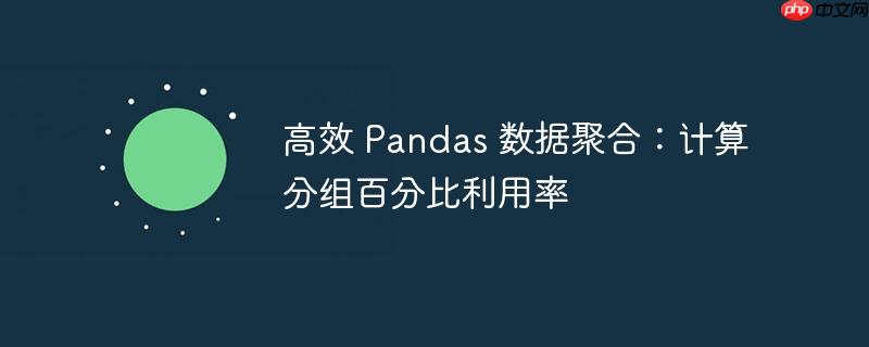 高效 Pandas 数据聚合：计算分组百分比利用率