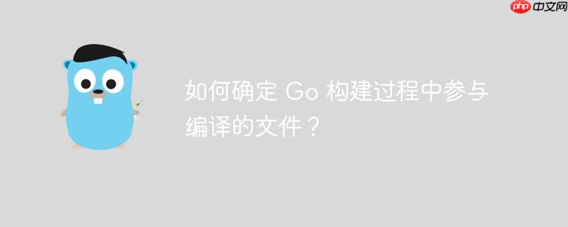 如何确定 Go 构建过程中参与编译的文件？