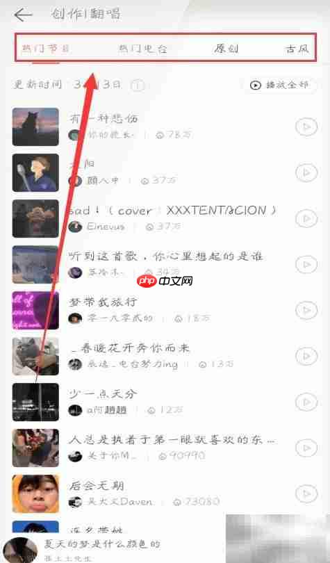 网易云音乐手机版电台播放指南