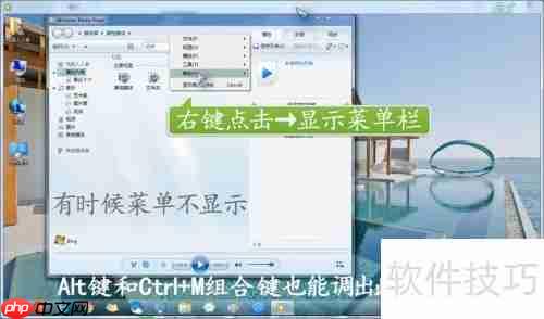 Windows Media Player版本查看
