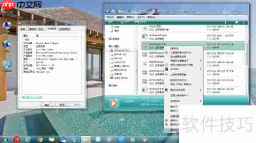 Windows Media Player版本查看