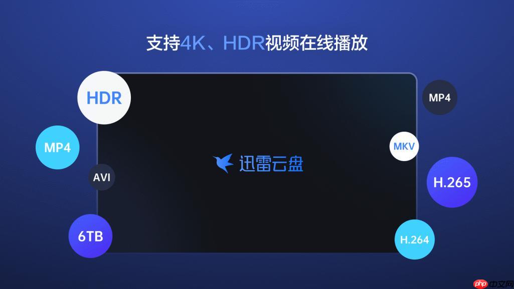 迅雷网盘如何查看下载历史_迅雷网盘下载记录查询与清除方法