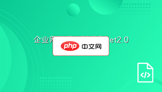 企业网站系统(上海).net2.0