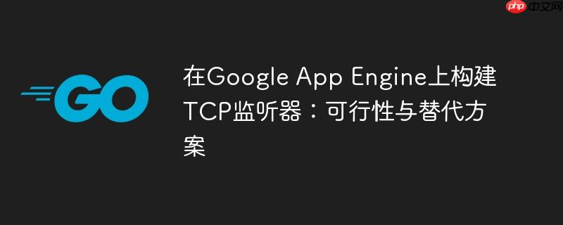在Google App Engine上构建TCP监听器：可行性与替代方案