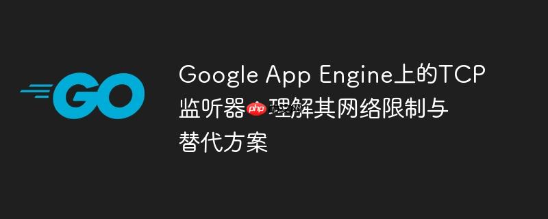 Google App Engine上的TCP监听器：理解其网络限制与替代方案