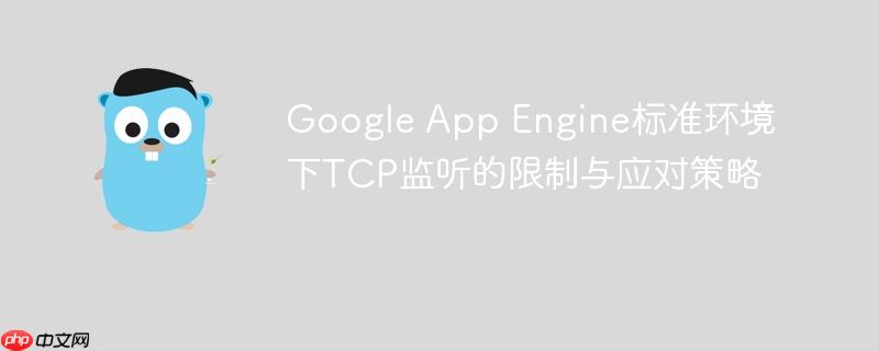 Google App Engine标准环境下TCP监听的限制与应对策略
