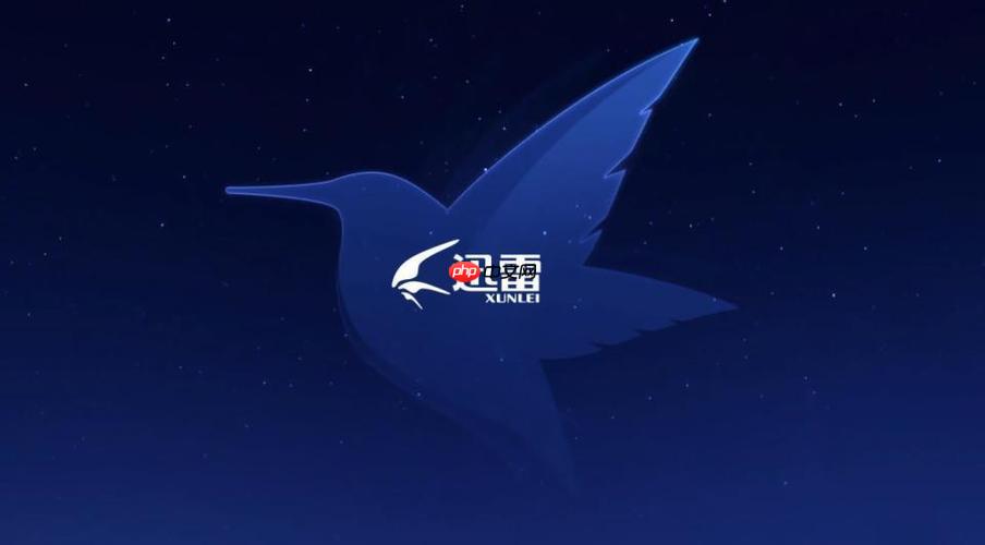 迅雷网盘文件怎么分类管理_迅雷网盘文件夹创建与分类技巧