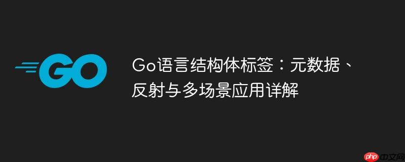 Go语言结构体标签：元数据、反射与多场景应用详解