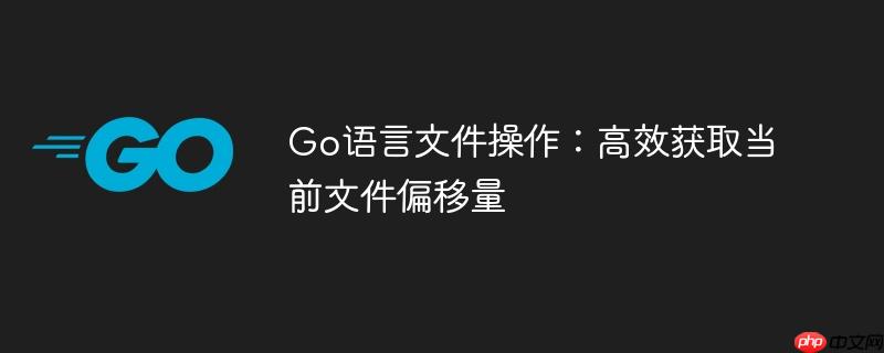 Go语言文件操作：高效获取当前文件偏移量