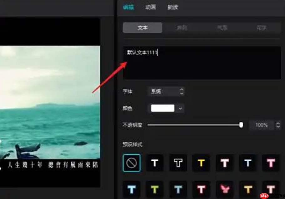 怎么在剪映专业版中添加字幕​？剪映专业版中添加字幕​的步骤