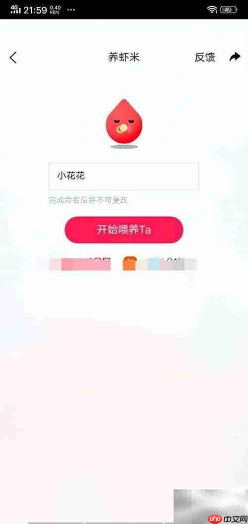 虾米音乐领养虾米指南