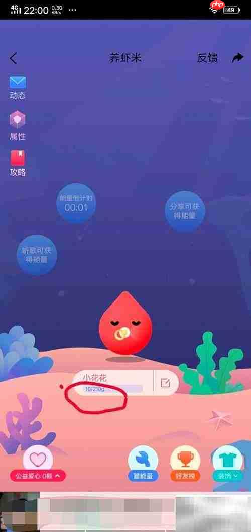 虾米音乐领养虾米指南