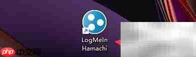 logmein hamachi流量过滤设置