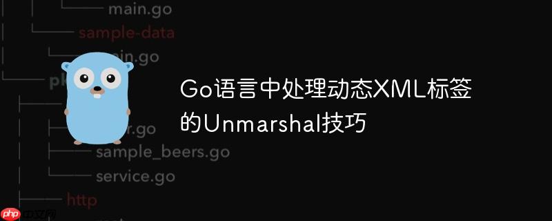 Go语言中处理动态XML标签的Unmarshal技巧