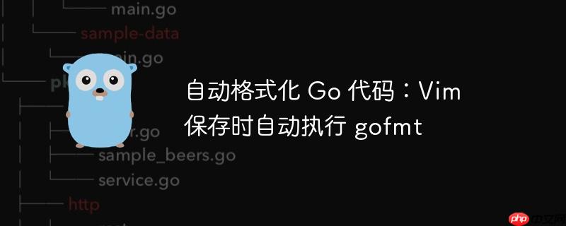 自动格式化 Go 代码：Vim 保存时自动执行 gofmt
