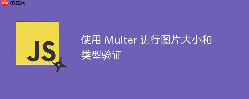 使用 Multer 进行图片大小和类型验证
