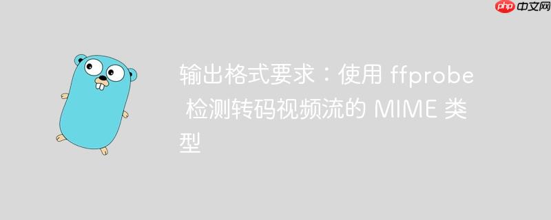 输出格式要求：使用 ffprobe 检测转码视频流的 MIME 类型