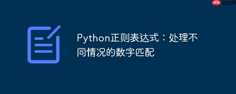 python正则表达式：处理不同情况的数字匹配