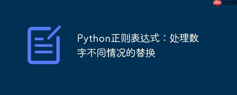 python正则表达式：处理数字不同情况的替换