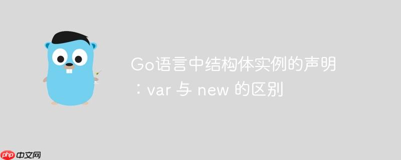 Go语言中结构体实例的声明：var 与 new 的区别