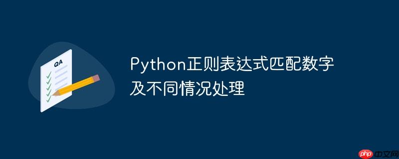 python正则表达式匹配数字及不同情况处理