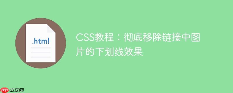 CSS教程：彻底移除链接中图片的下划线效果