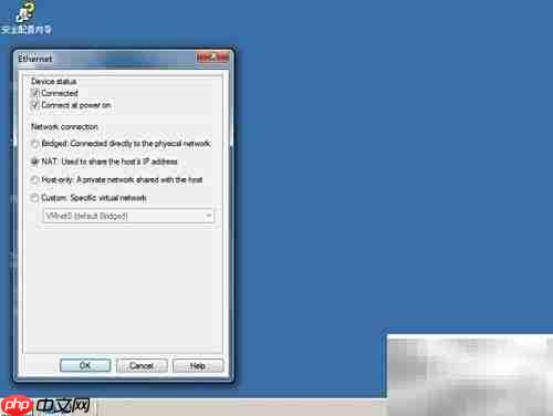 DNS与Web服务器搭建管理