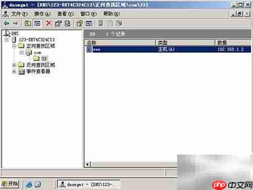 DNS与Web服务器搭建管理