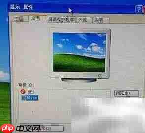 IE删除了如何恢复？