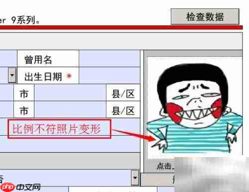 一键制作1寸2寸证件照