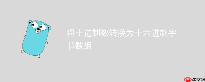 将十进制数转换为十六进制字节数组