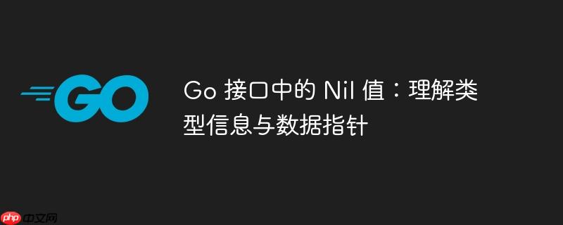 Go 接口中的 Nil 值：理解类型信息与数据指针