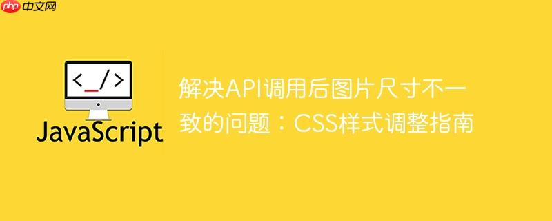 解决API调用后图片尺寸不一致的问题：CSS样式调整指南