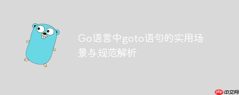 Go语言中goto语句的实用场景与规范解析