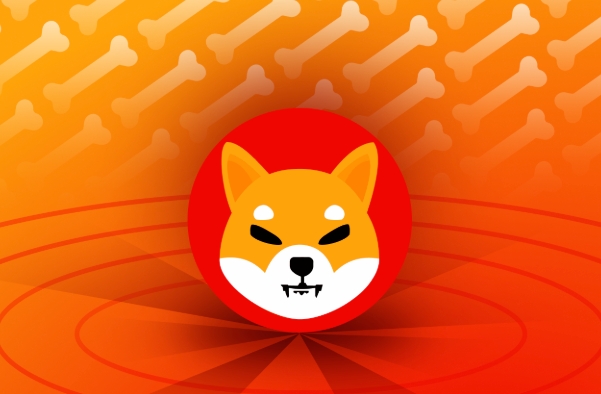 如何用一千元在币圈一周翻十倍 - 创想鸟