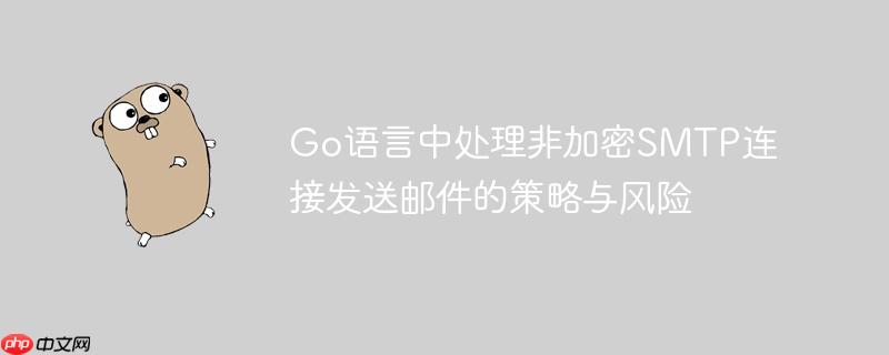 Go语言中处理非加密SMTP连接发送邮件的策略与风险