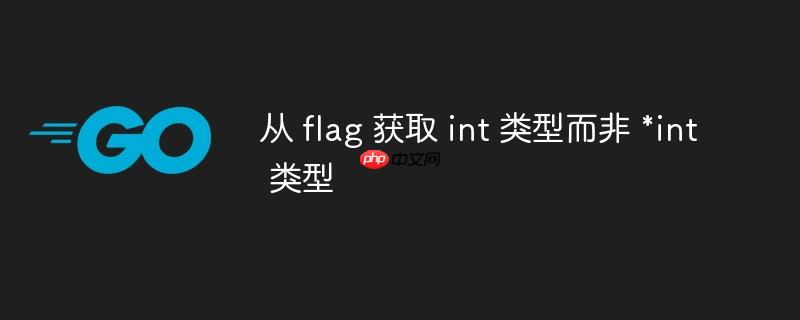 从 flag 获取 int 类型而非 *int 类型