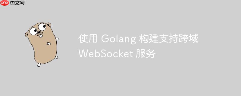 使用 Golang 构建支持跨域 WebSocket 服务