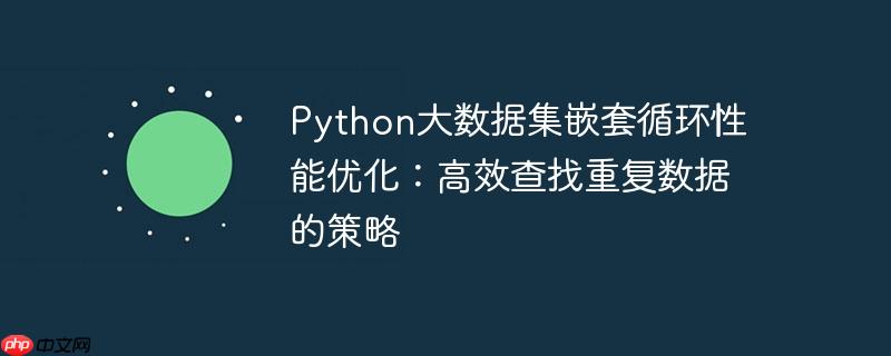 Python大数据集嵌套循环性能优化：高效查找重复数据的策略