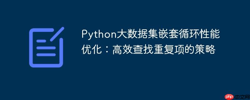 Python大数据集嵌套循环性能优化：高效查找重复项的策略