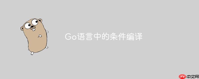 go语言中的条件编译