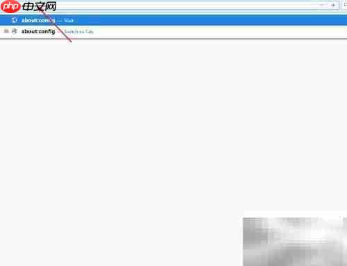 cocoon浏览器连接不安全提示