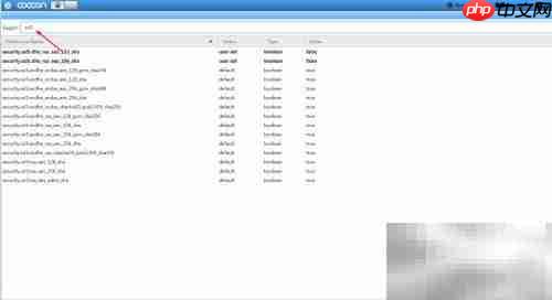 cocoon浏览器连接不安全提示