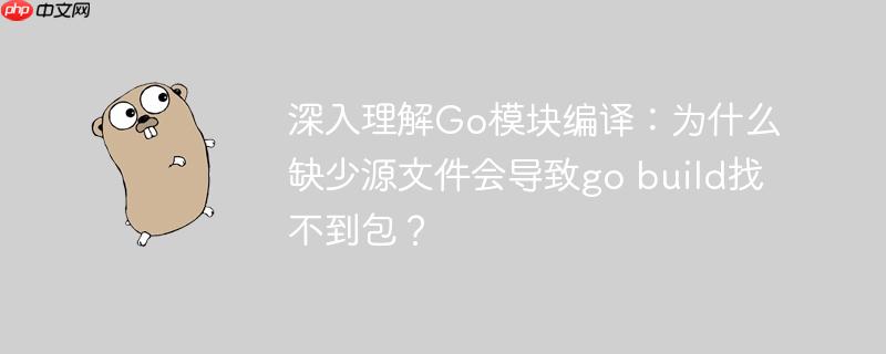 深入理解Go模块编译：为什么缺少源文件会导致go build找不到包？