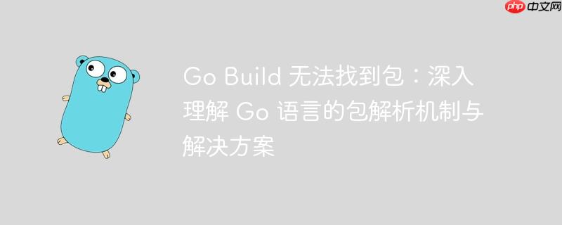 Go Build 无法找到包：深入理解 Go 语言的包解析机制与解决方案