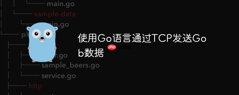 使用Go语言通过TCP发送Gob数据
