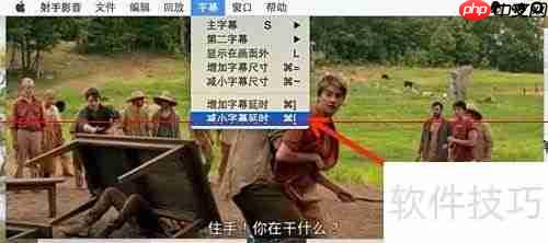 射手播放器自动匹配字幕方法