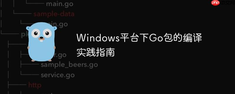 Windows平台下Go包的编译实践指南